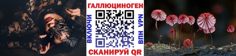 блэк спрут Руза Псилоцибиновые грибы Magic Shrooms
